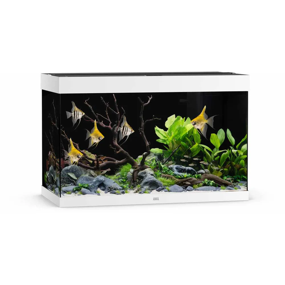 Juwel Akvarium Led Rio 290 Liter Hvid